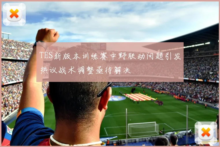 TES新版本训练赛中野联动问题引发热议战术调整亟待解决